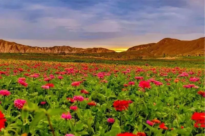 美爆了！让全世界听到，我的名字叫白银！！！