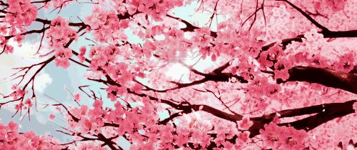 日照口腔牙齿矫正费用,日照牙科修牙多少钱一颗