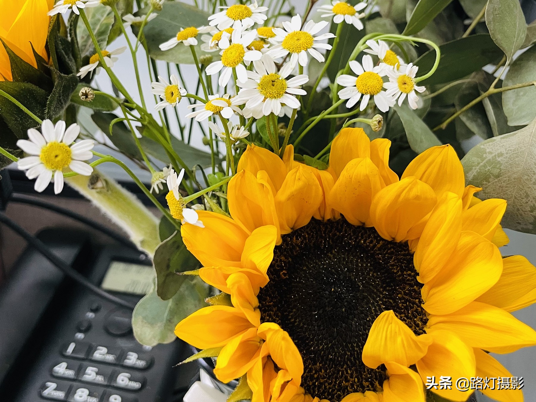 iphone12pro续航对比iphone13,iphone12pro续航看法