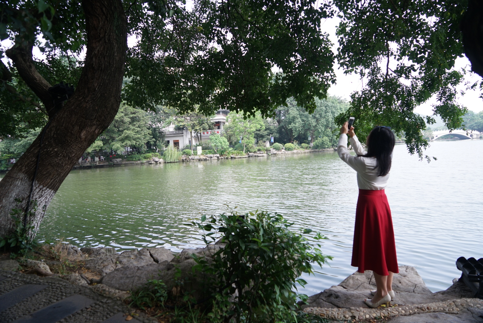 桂林山水六日游198元,桂林28元阳朔三日游