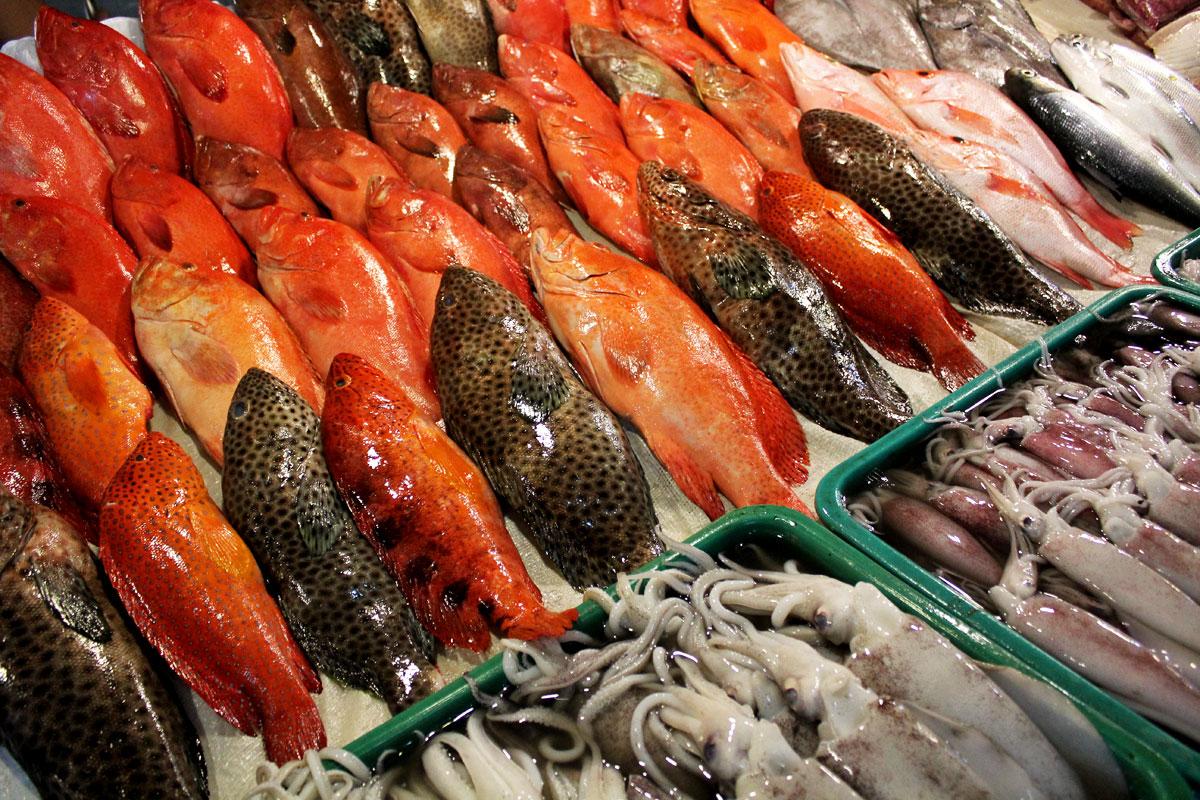 菲律宾薄荷岛宿务旅游攻略,菲律宾宿务杜马盖地旅游攻略