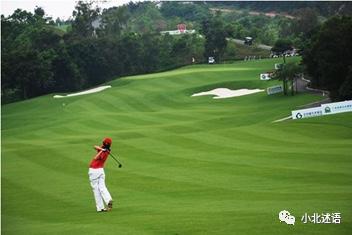 龙岗南约马桥最新消息,龙岗马桥联合旧改项目