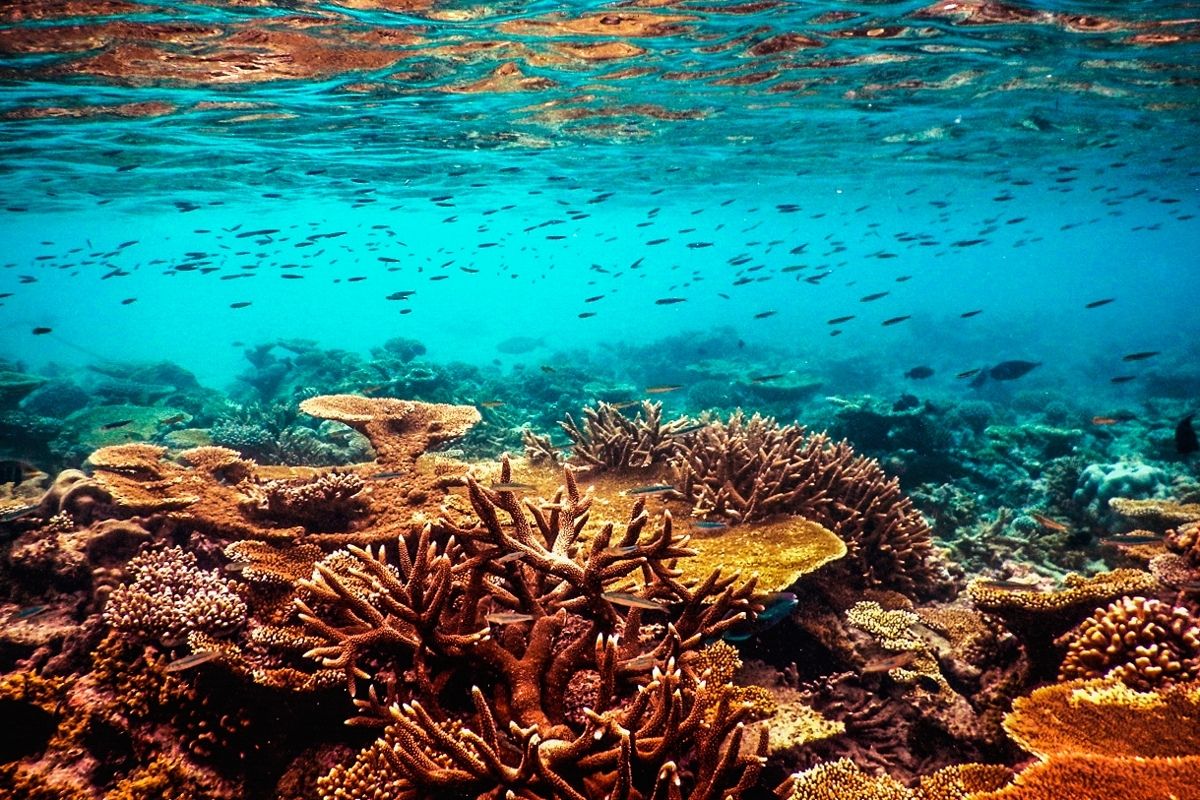 群岛最小的国家,马尔代夫首都有多拥挤