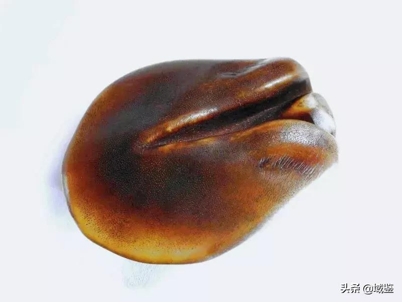 牛角类雕件如何鉴别,清代犀牛角小雕件怎么保护
