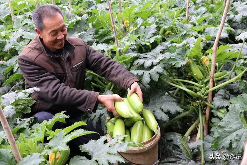 农村女人放下恩怨,乡村女人应该如何收拾男人