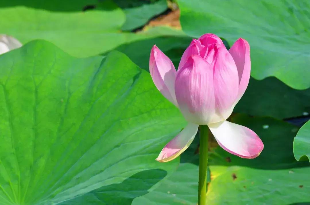 几个闺蜜自驾游的视频,一群闺蜜旅行视频