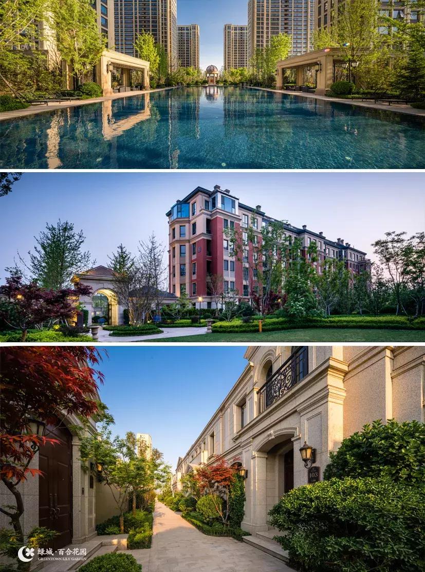 绿城百合紫薇园装修,淄博绿城百合花园紫薇园