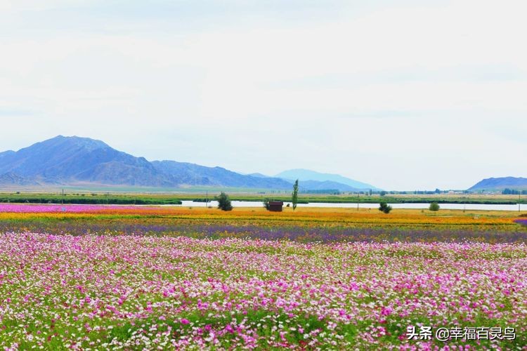 有了这攻略,自驾*藏西**游省心很多