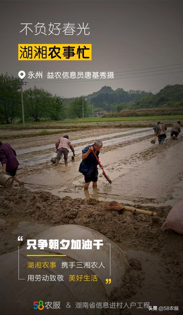 58农服携手“湖湘农事”平台,向所有湖南农民致敬