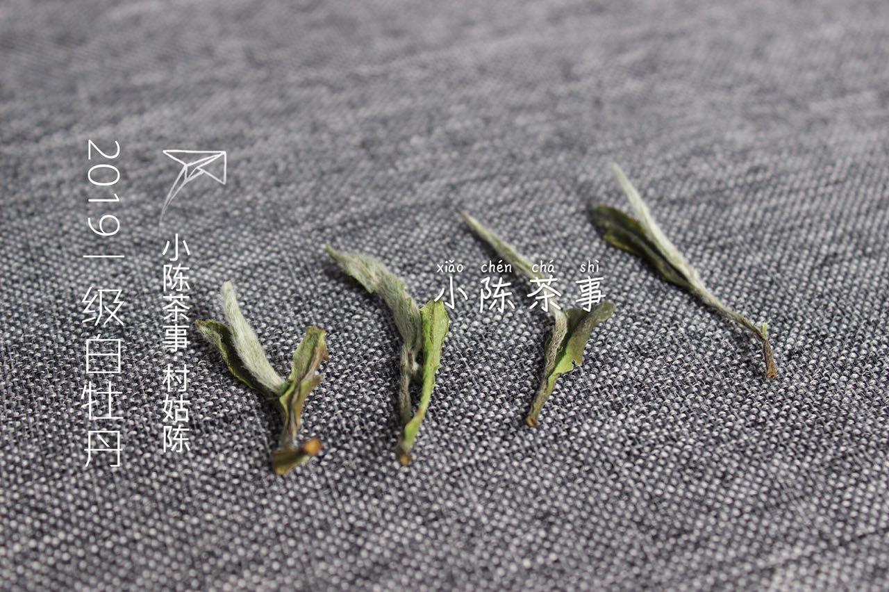 白茶饼茶好存还是散茶好存,白茶饼不如散白茶品质好吗