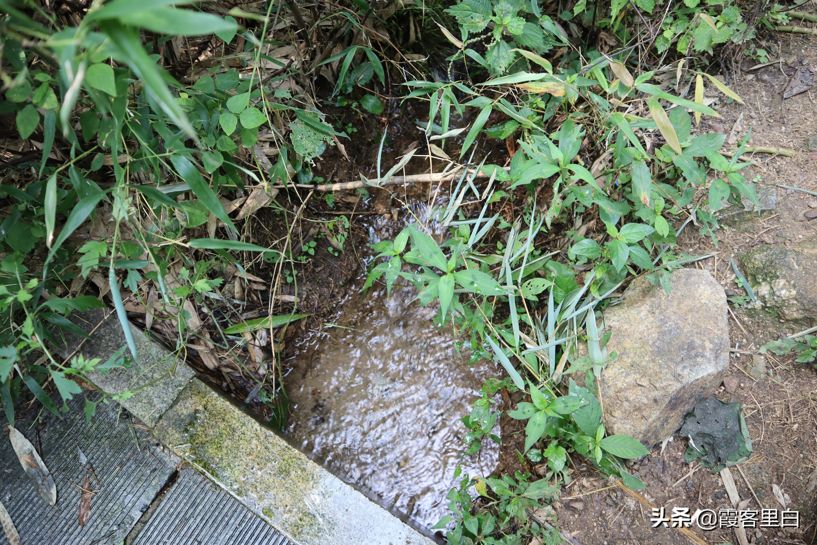 南召宝天曼旅游视频,南召宝天曼游览图