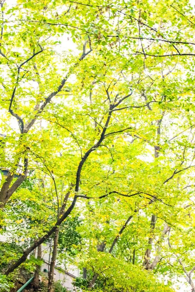 燕子矶公园讲解,燕子矶公园在哪里啊