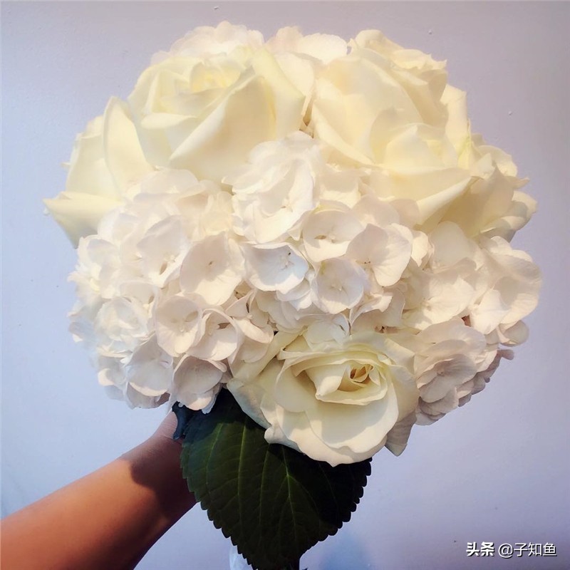 金牛座一直跟你说话是喜欢你吗,金牛座喜欢你会在意别人的感受