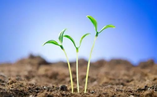 春季脚气复发怎么办,春季是不是脚气的高发期