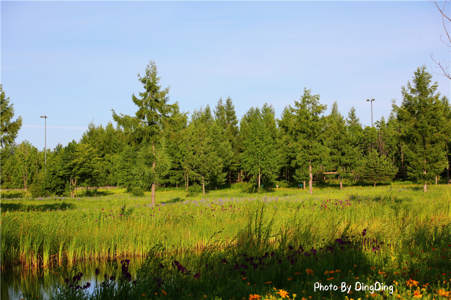 避暑就去这些山水古镇,长白山二道白河镇游玩地图