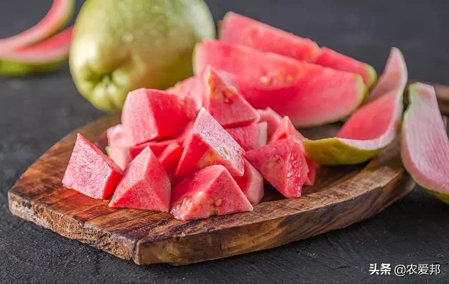 芭乐叶子是凉性的还是热性的,芭乐果是热性水果还是凉性水果