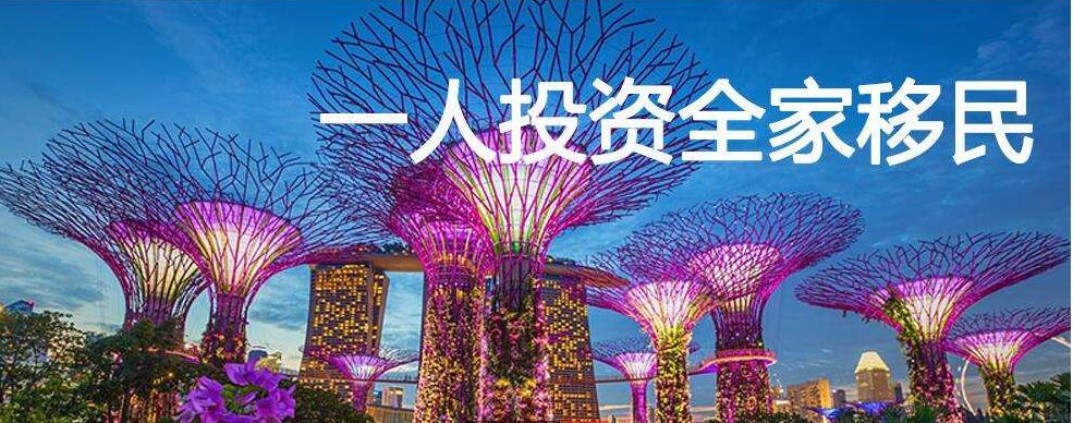 疫情期间移民行业,疫情中的移民行业发展问题