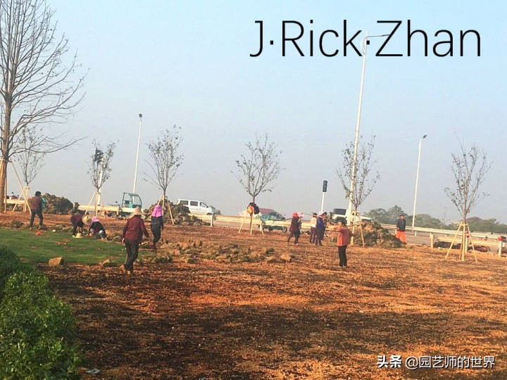 怎么种植草坪不长杂草,如何养好草坪