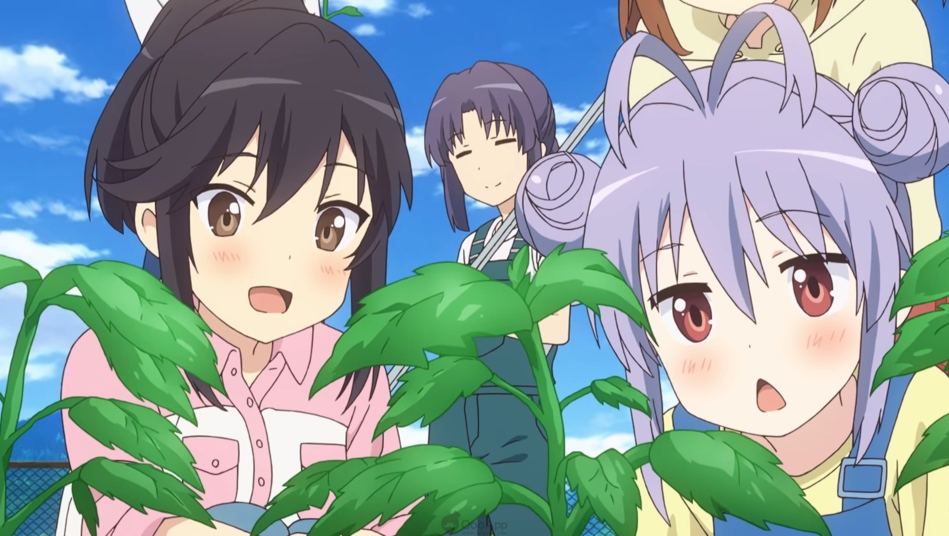 在这个快节奏的时代，你还会不会喜欢慢节奏的动画