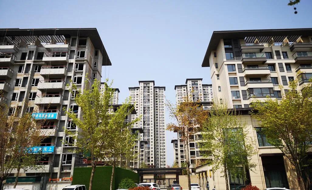 本土大鳄紫薇PK卓越新贵，谁能更领风骚