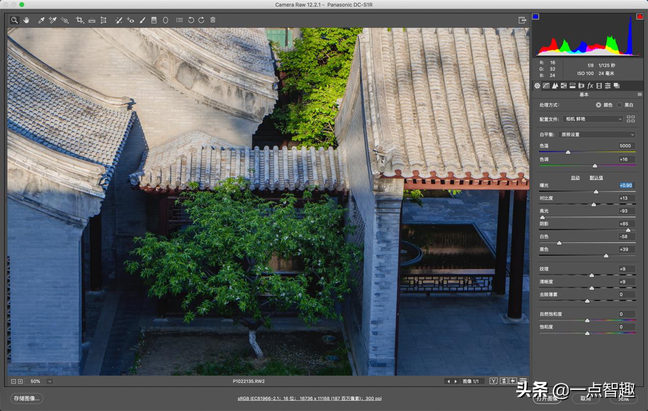 一亿像素手机拍照对比,主摄一亿像素的手机