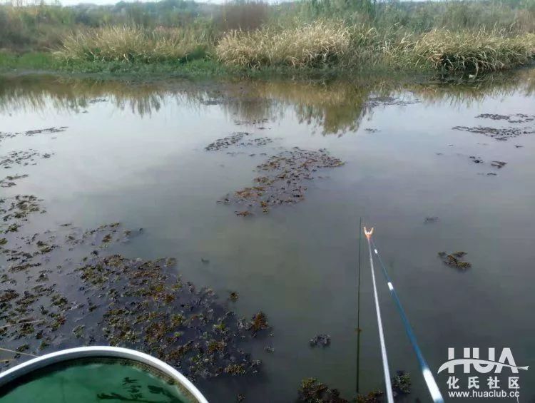 化氏不空军糊味,化氏不空军谁代工的
