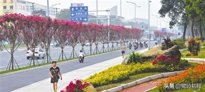 成都武侯鞋城变迁,成都武侯三只鞋标志