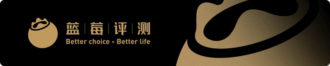 蓝莓评测酒店,月子中心蓝莓