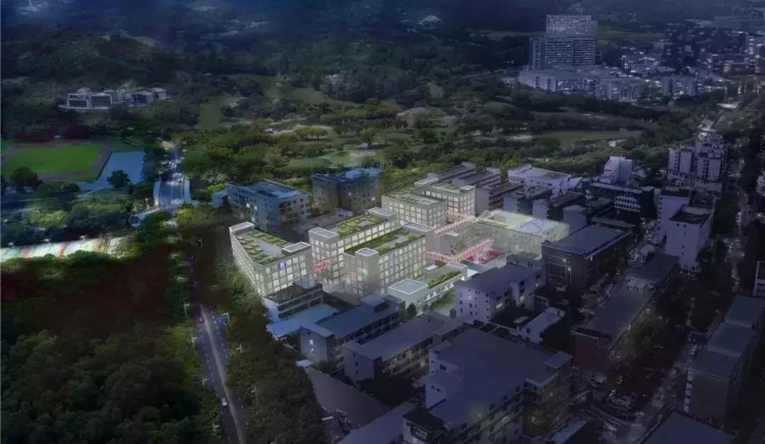 深圳十大私立贵族幼儿园,私立幼儿园最贵的幼儿园