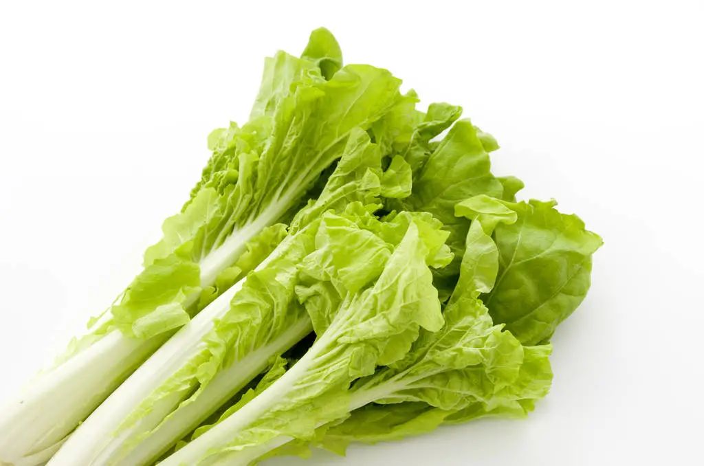 孕后贫血该怎么办,小孩子贫血怎么办