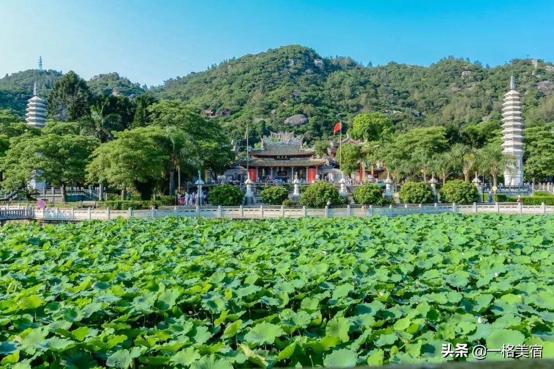 厦门五日游必去十大景点有哪些,厦门一日游必去的五个景点