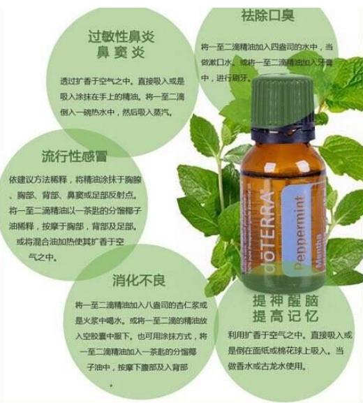 多特瑞精油代理商,多特瑞精油代理靠谱吗