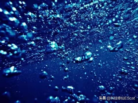 神秘海洋里边的海草怎么修复,神秘海草