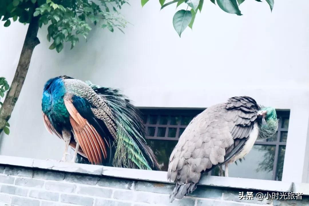 阳朔酒店风景好的推荐,桂林阳朔山水画酒店