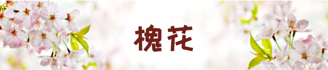 在云南，做一个“花吃”，挺好