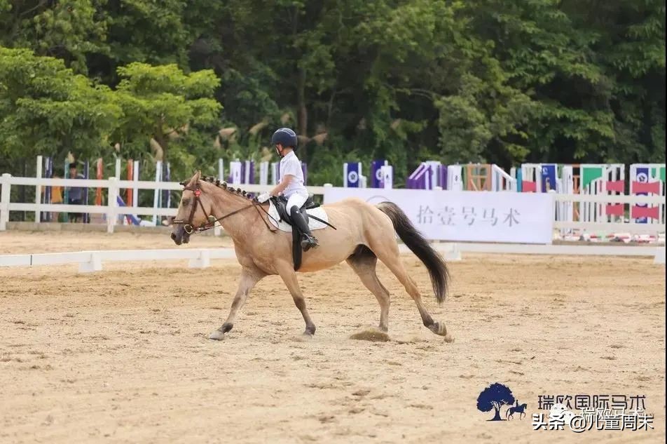 深圳海边骑马地点推荐,深圳骑马最佳地点