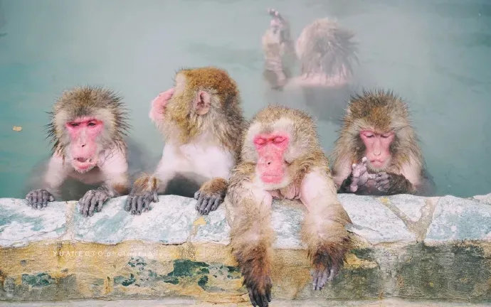 浴缸设计方案,楼梯下设计浴缸