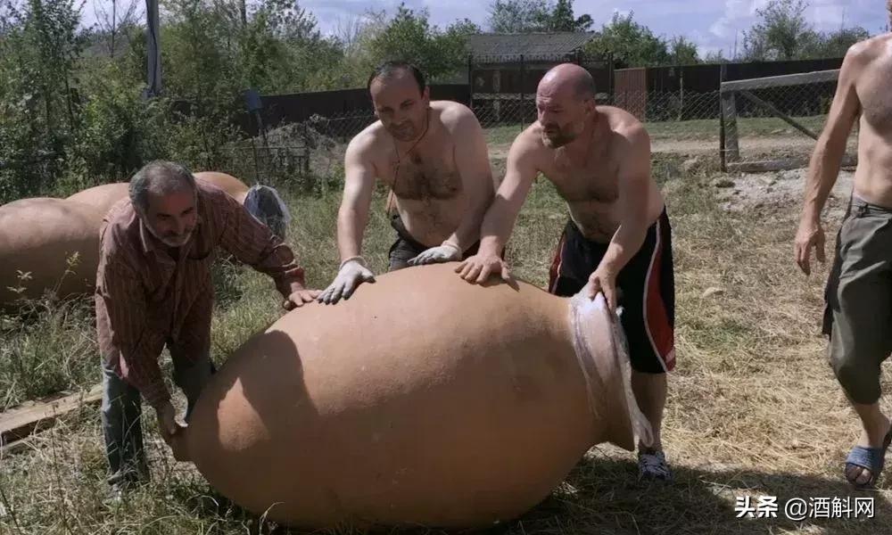 十部有趣有料的葡萄酒视频,十部顶级纪录片红酒