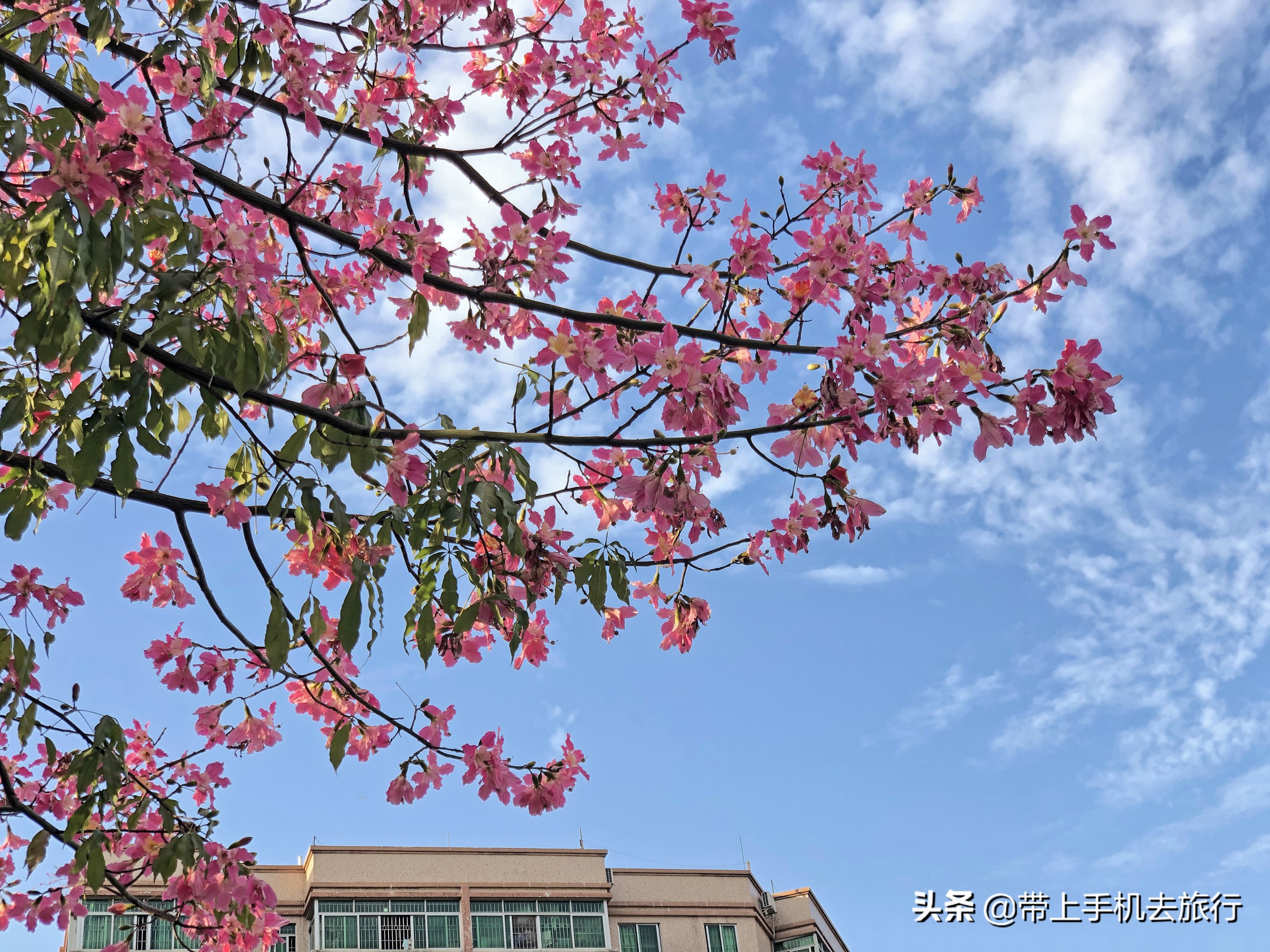 智能手机什么时候能用hdr,手机hdr适合什么时候开启