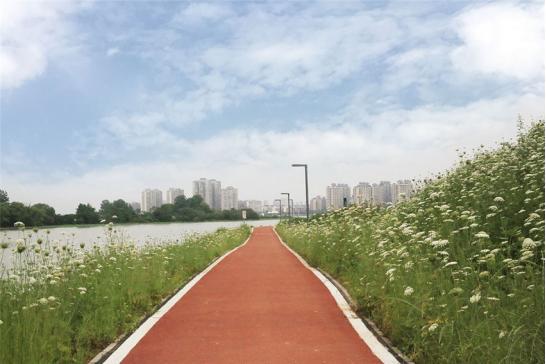 武汉适合骑行绿道公园有哪些,武汉东湖绿道自驾游攻略