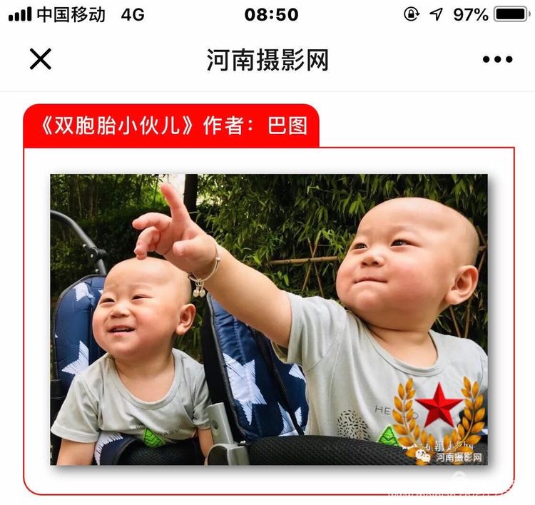 洛阳晚报作品,洛阳晚报2020年