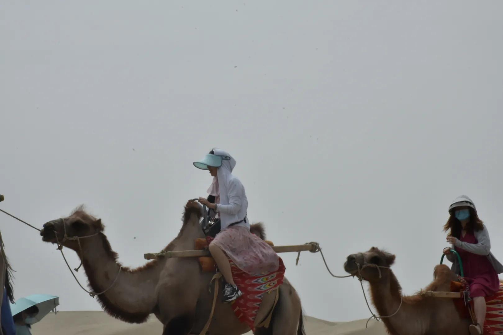 会计专业社会调查问卷,中学生职业调查