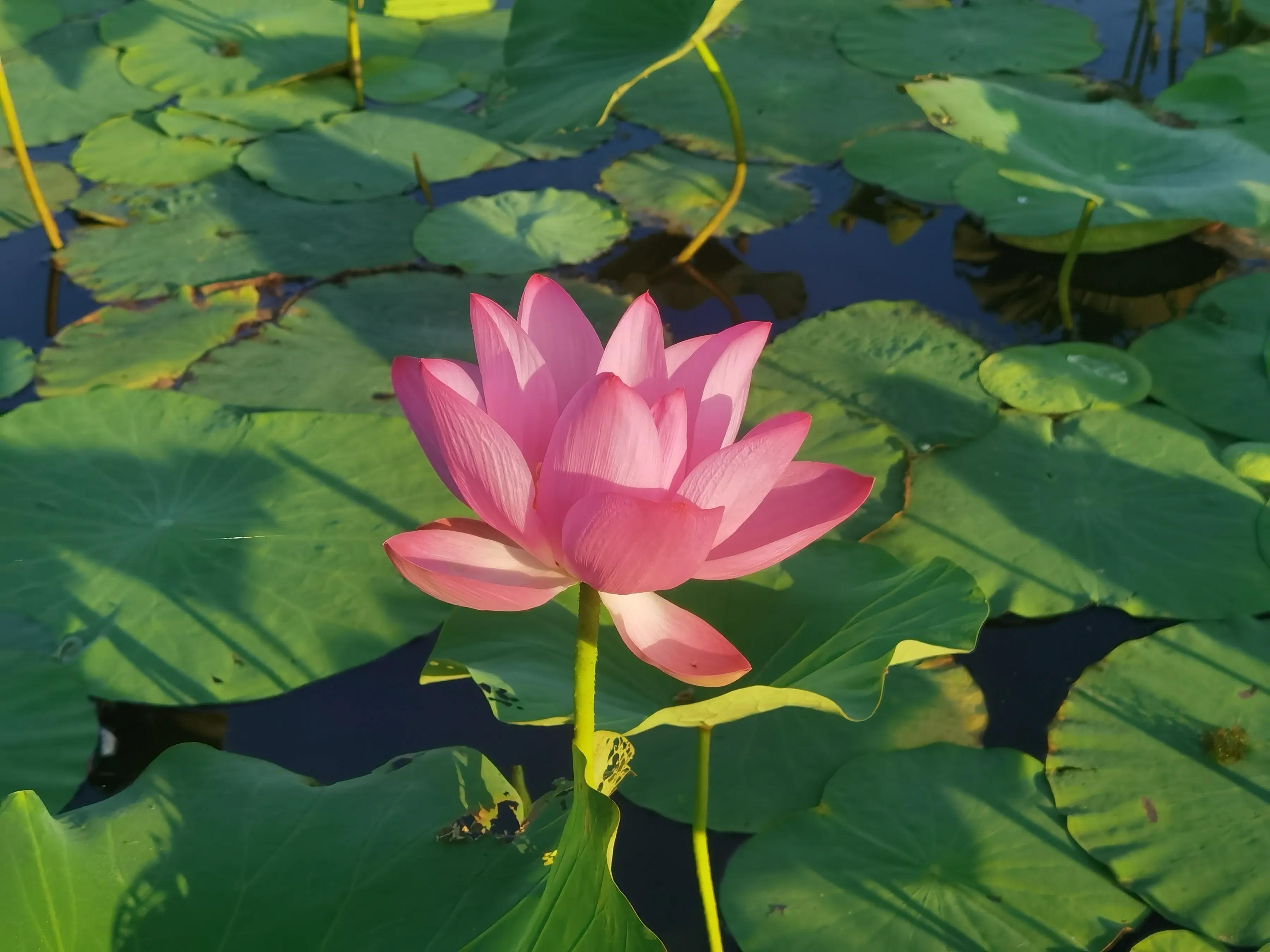 手拍世界投稿,手拍世界作品专集