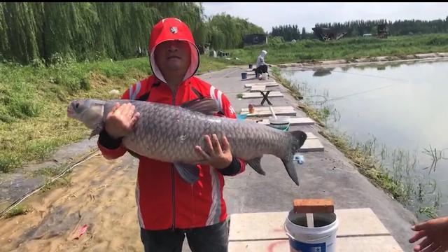 黑坑最好的解决办法,黑坑肥水塘钓鱼技巧