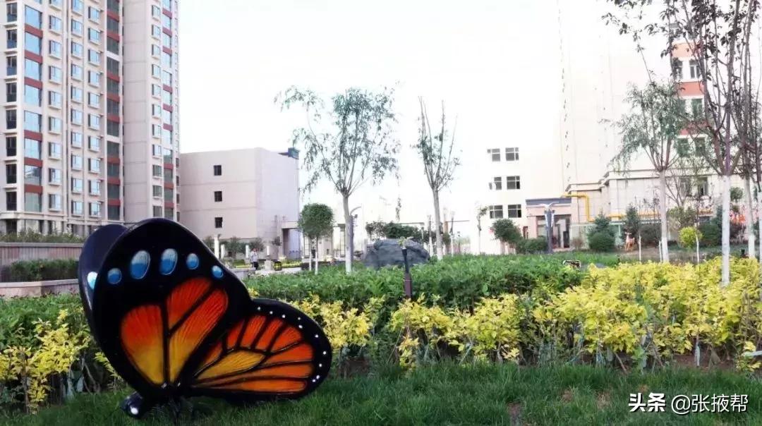 张掖人3年前错过的赚钱机会，现在又来啦