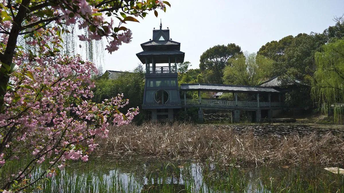 苏州金鸡湖景区打卡推荐,苏州金鸡湖风景区评价
