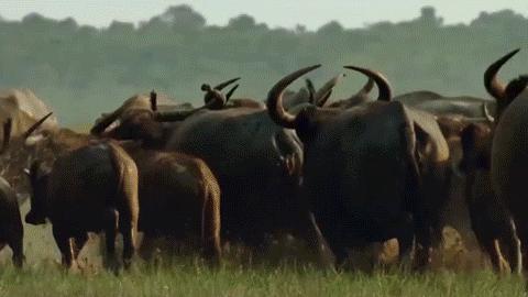 全椒值得去吃的地方,全椒县比较值得逛的地方