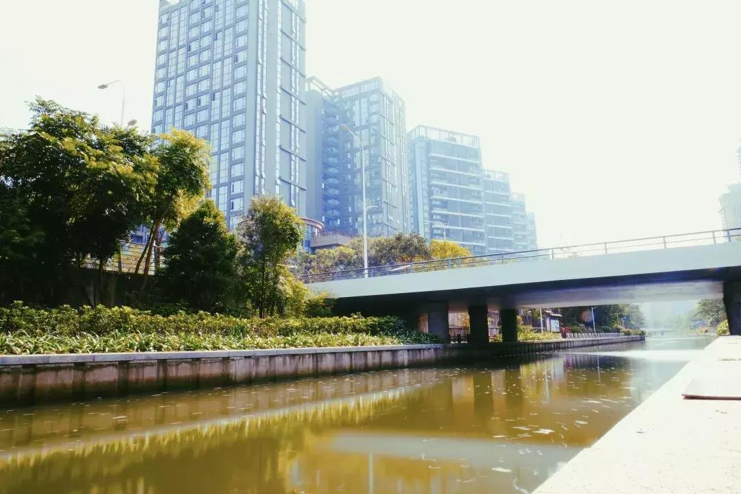 深圳湾公园这里有什么好吃的,深圳湾在哪里