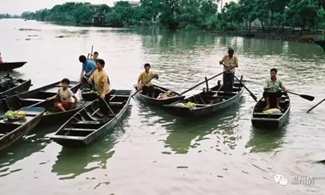 温州168海岸线沿途景点地图,温州60个免费景点大全