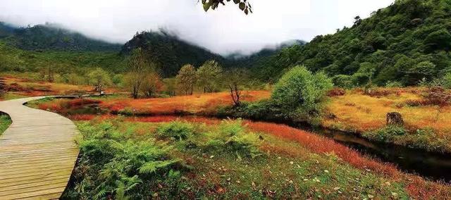 红了！黑竹沟迎颜值巅峰快去穿越五彩童话世界